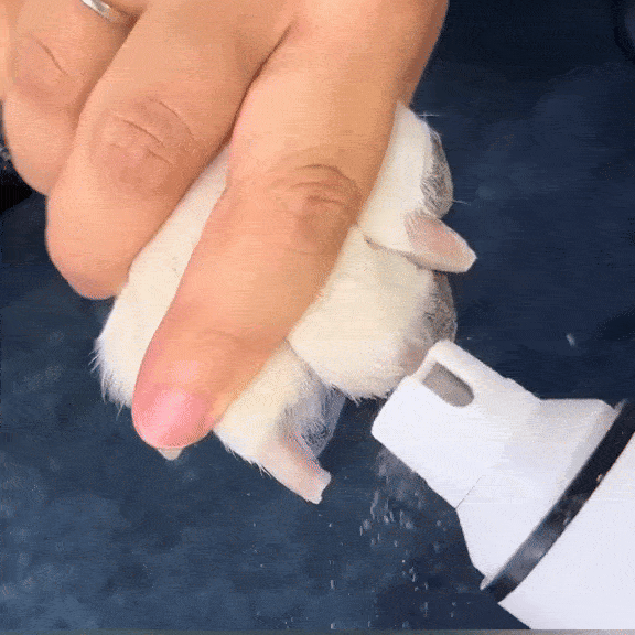 Pilă electrică pentru pisici și câini